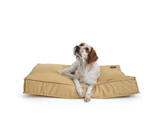 BODO Köpek Yatağı