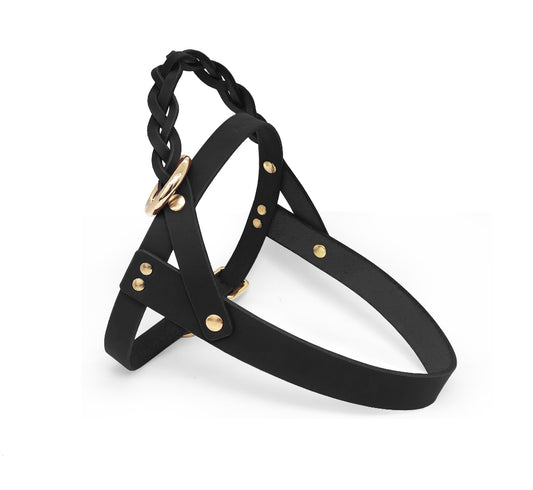 MODİ Göğüs Tasması, Siyah