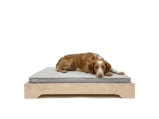 MOLLE Kedi & Köpek Yatağı